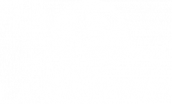 lp website logo white